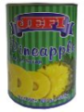 Jefi Pineapple Slices In Syrup